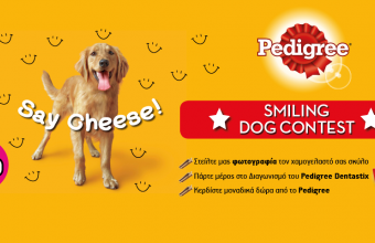 Διαγωνισμός: Smiling Dog Contest | Pedigree Dentastix