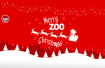 Καλά Χριστούγεννα από τον ZOO 90.8!